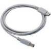 Image of Datalogic Straight Cable - Type A USB USB cable 2 m