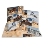 HERMA 19209 folder Cardboard Multicolour A4
