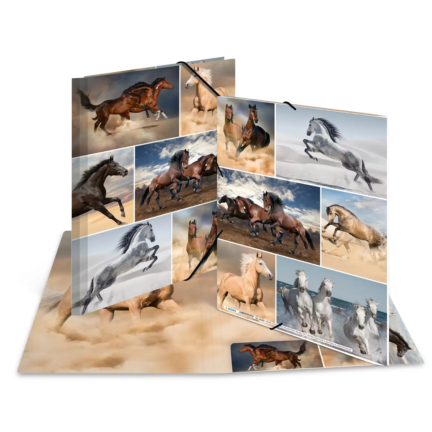 Image of HERMA 19209 folder Cardboard Multicolour A4