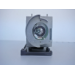 Diamond Lamps Lamp for OPTOMA EH319UST:EH319USTi:EH320UST:EH320USTi:W320UST:W320USTi:X320UST:X320USTi:GT5000:GT5500 Projector