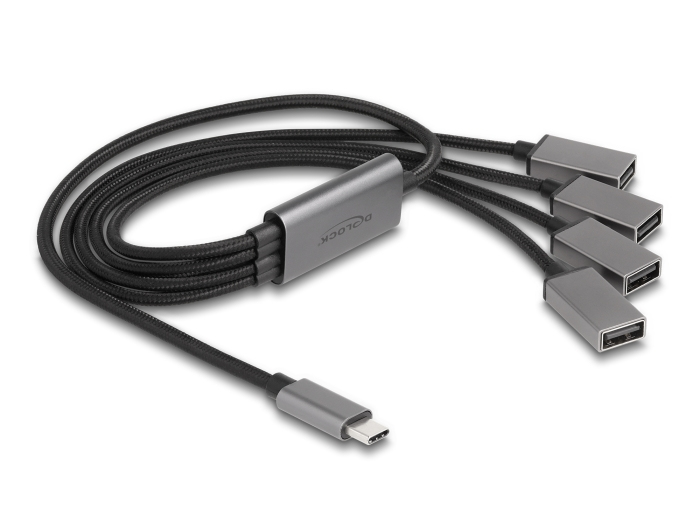 Image of DeLOCK 64210 interface hub USB 2.0 Type-C 480 Mbit/s Black, Grey