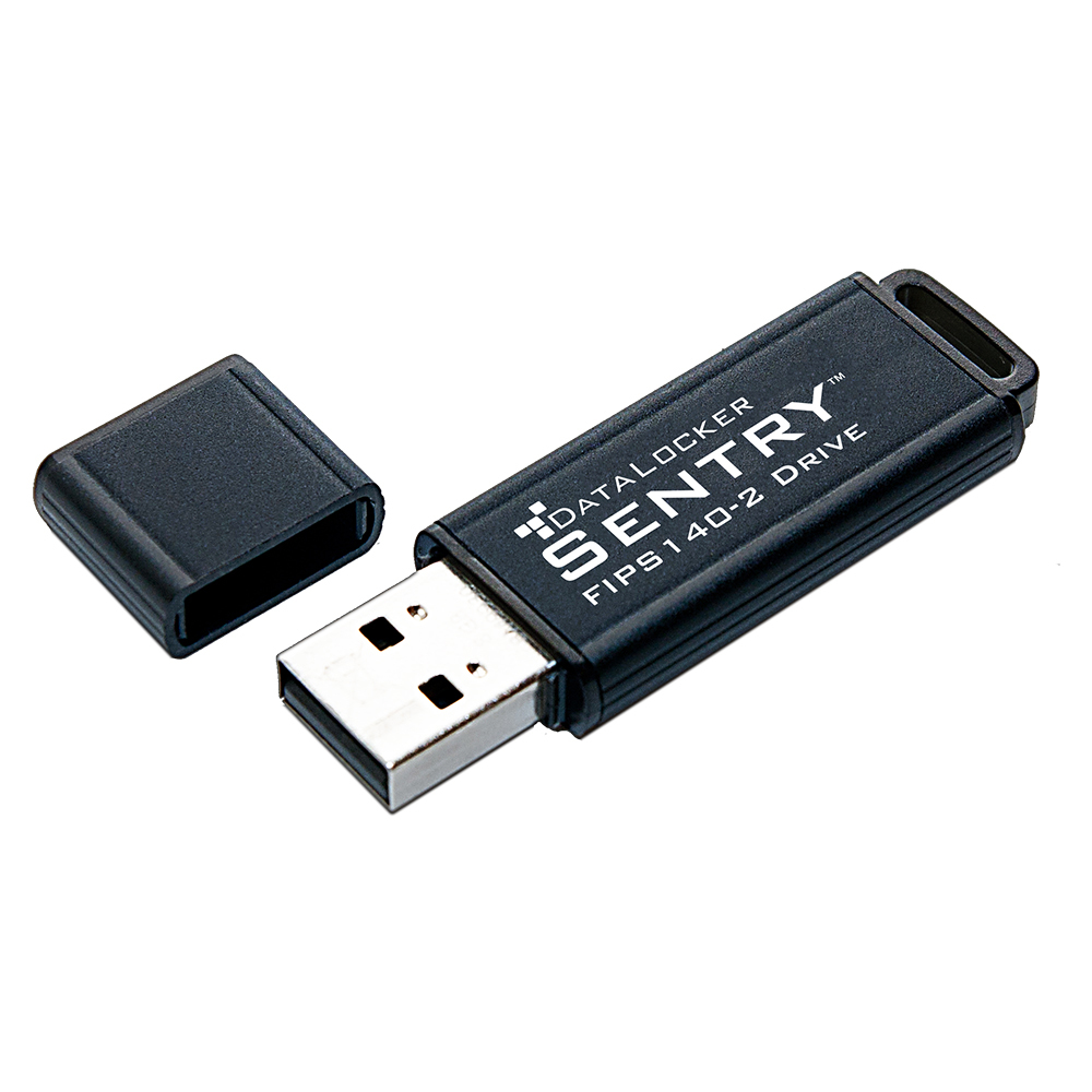 Usb storage tool. DATALOCKER Sentry one USB 3.1. Флешка DATALOCKER Sentry k300 256gb. Флешка DATALOCKER Sentry k300 32gb. DATALOCKER Sentry k300 128 ГБ.