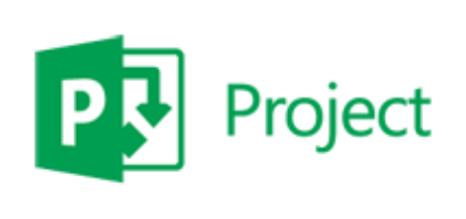 Microsoft Project Professional, 1Y, Level D, Government, Additional Product 1 license(s)