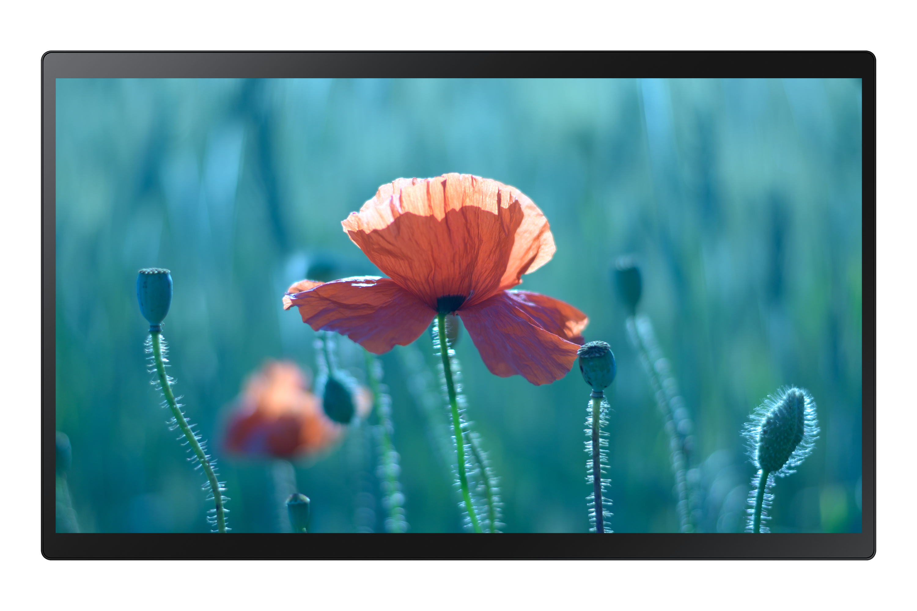Image of Samsung QB24R-T Interactive flat panel 60.5 cm (23.8") Wi-Fi 250...