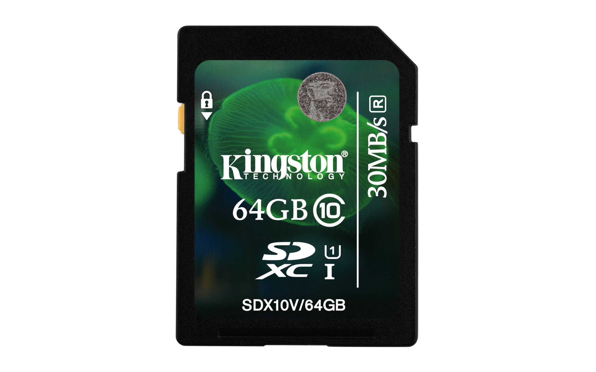 Карта памяти kingston 32gb class 10