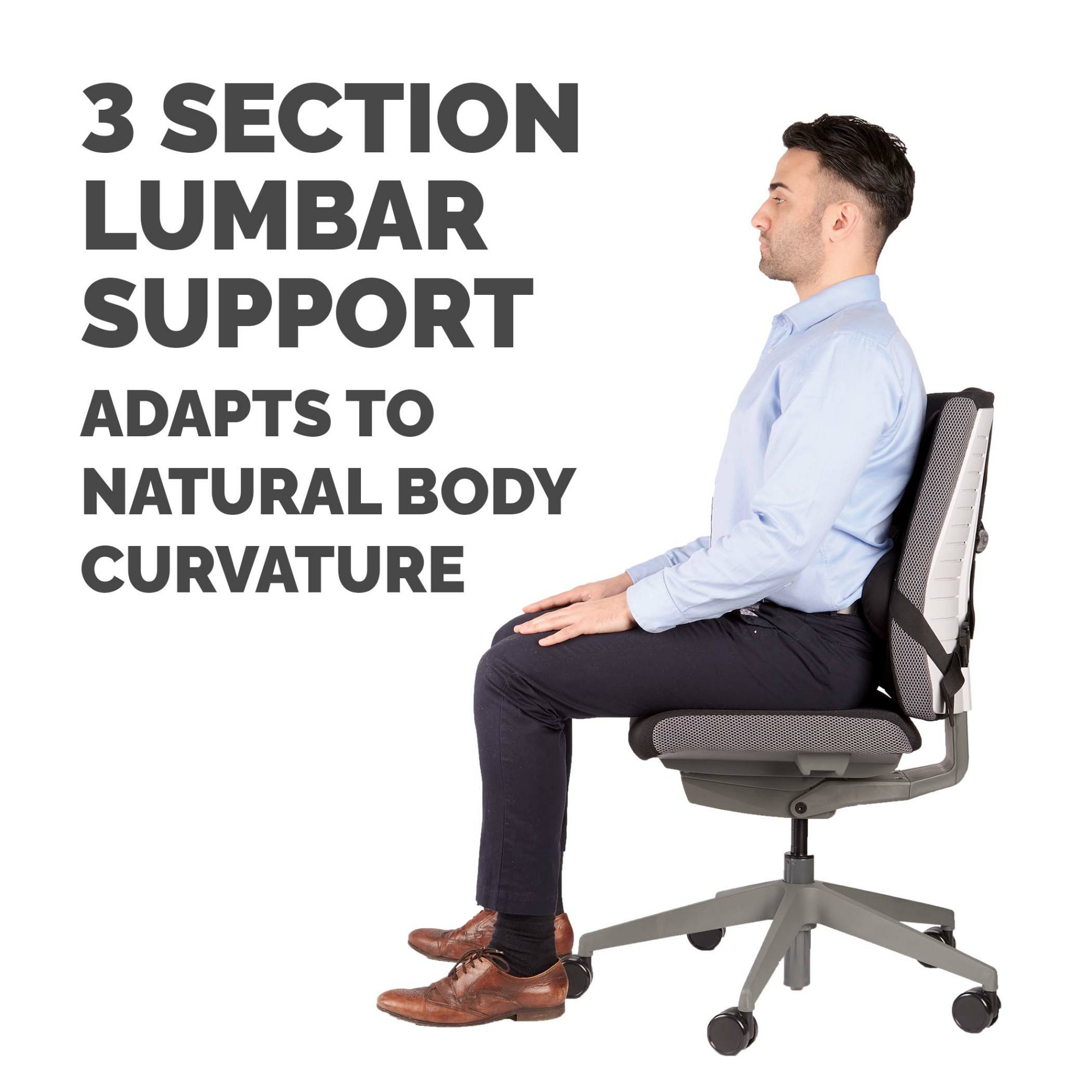 Fellowes Back Support for Office Chair - Professional Series Ultimate Back Support with Antibacterial Protection - H36.5 x W37.5 x D5.5cm