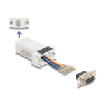 DeLOCK 67078 cable gender changer D-Sub 9 RJ12 White