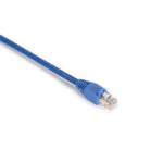 Black Box EVNSL81-0001 networking cable Blue 0.3 m Cat5e U/UTP (UTP)