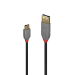Lindy 0.5m USB 2.0 Type A to C Cable, Anthra Line