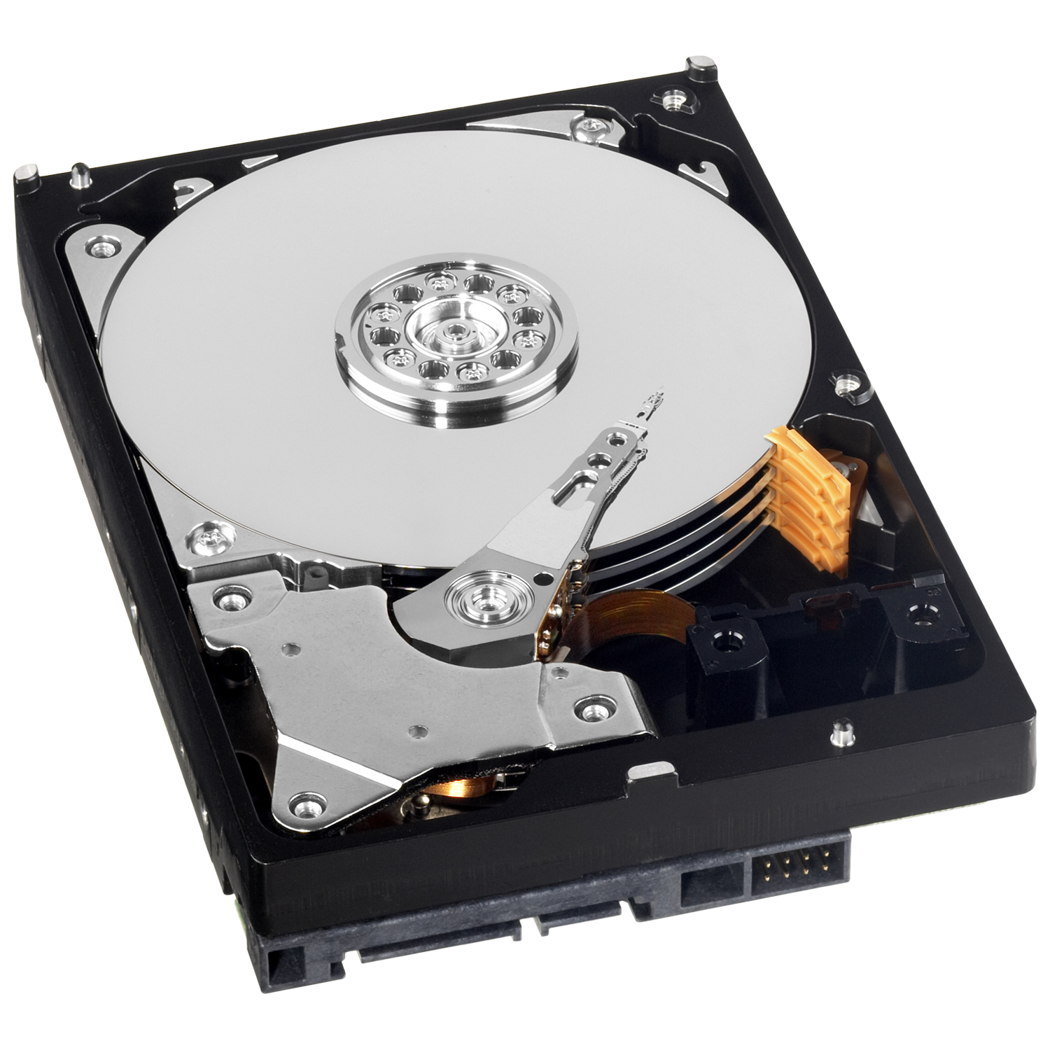 Western digital stock options