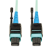 Tripp Lite N846-10M-24-P fiber optic cable 396.1" (10.1 m) MTP OM3 Black, Turquoise