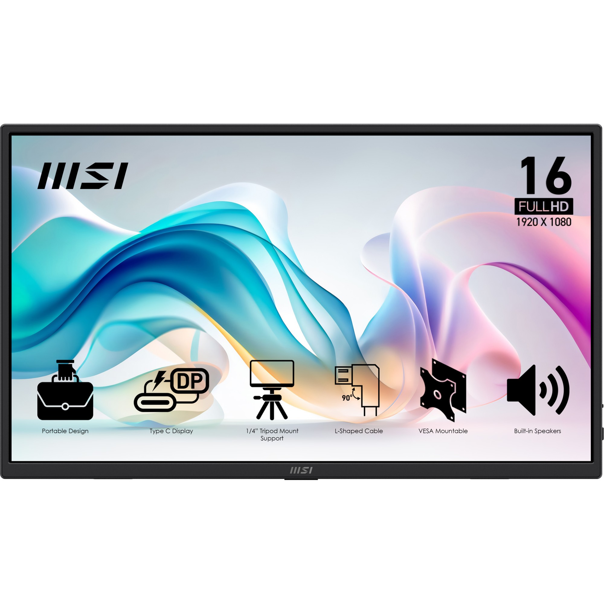 MSI PROMP165E6 15.6 inches Full HD LED IPS Monitor