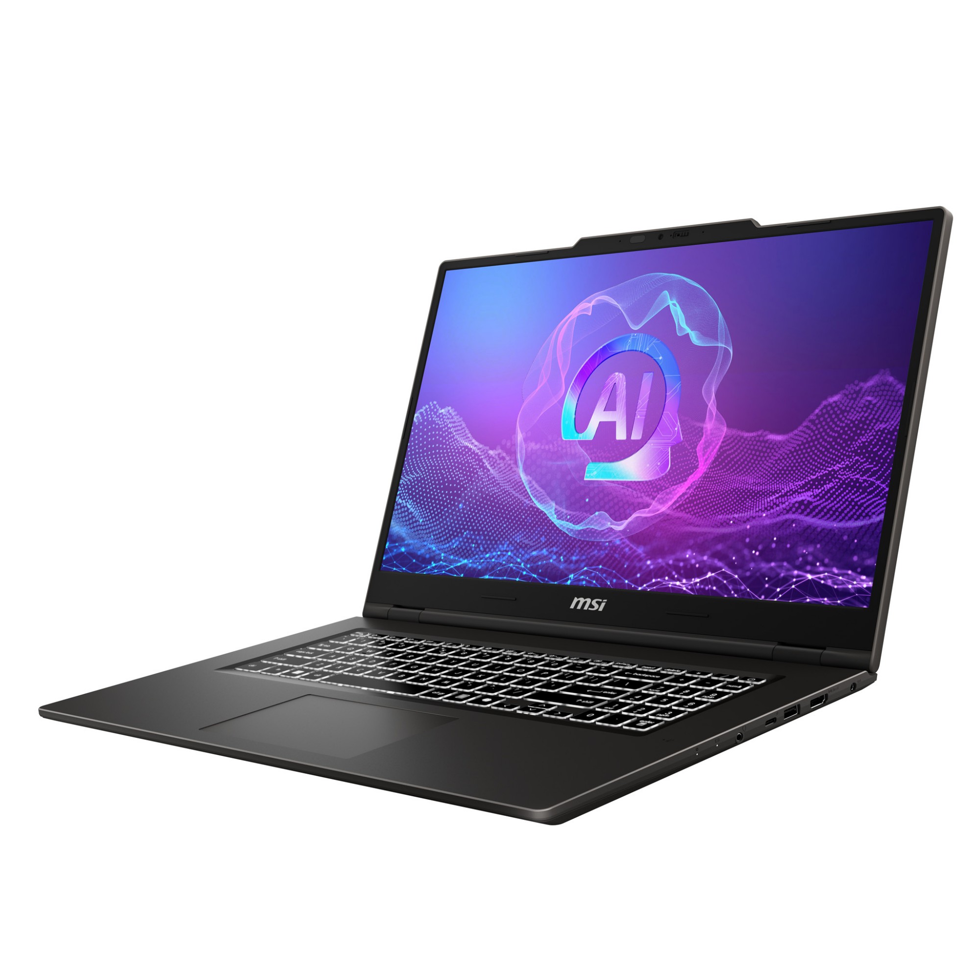 MSI VenturePro 17 A2RWFG-006FR Intel Core 5 210H Netbook 43.2 cm (17&q