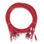 Intellinet 745529 networking cable Red 19.7" (0.5 m) Cat8.1 U/FTP (STP)