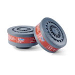 BEESWIFT A1 Filters (Pair)