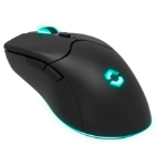 SPEEDLINK SL-680102-BK mouse Gaming USB Type-A 4800 DPI