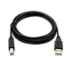 V7 Black USB Cable USB 2.0 A Male to USB 2.0 B Male 2m 6.6ft