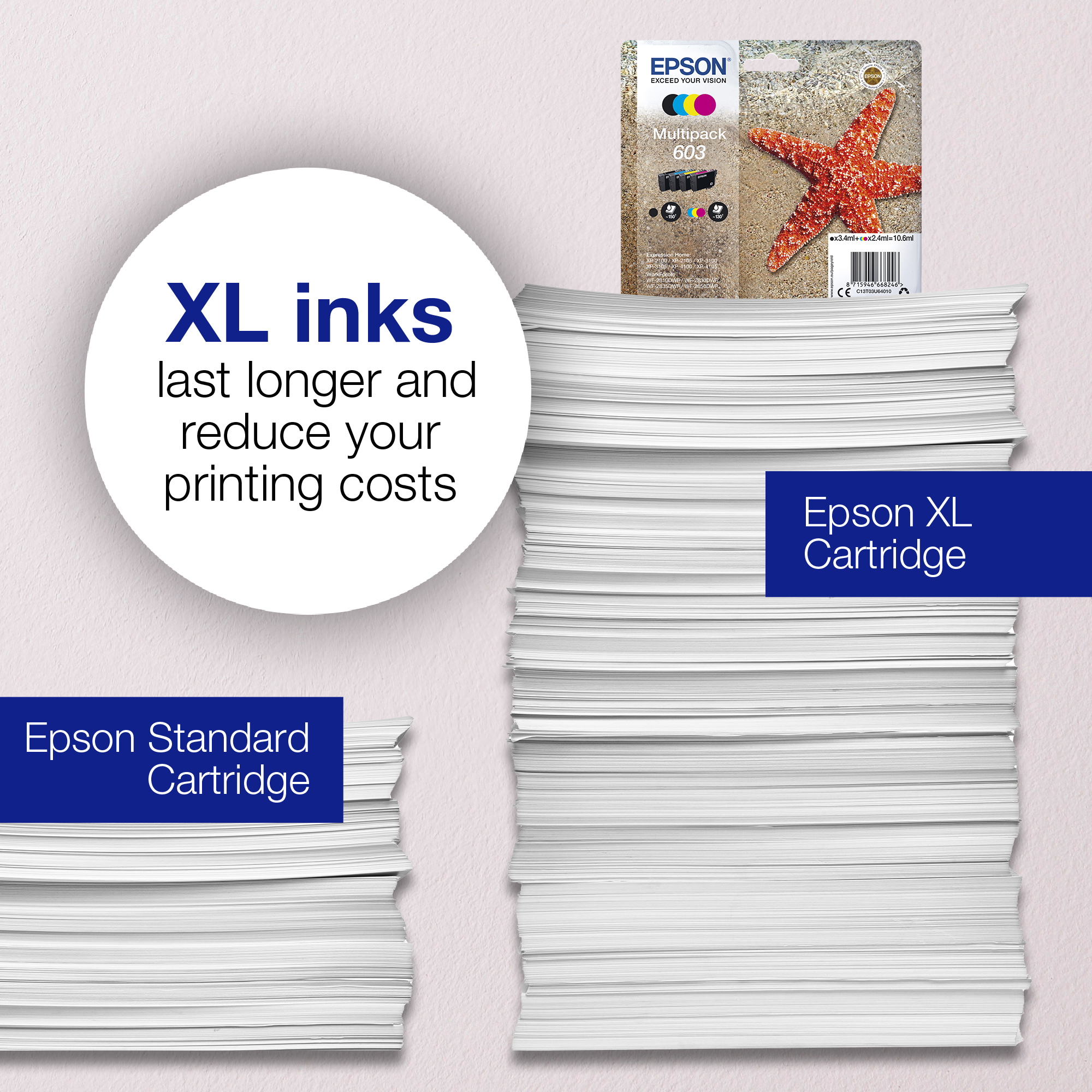 Epson 603XL Starfish Ink Cartridge High Yield Black C13T03A14010