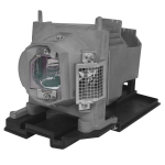 100013352 - Projector Lamps -