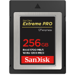 SanDisk Extreme Pro 256 GB CompactFlash