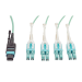 Tripp Lite N844-01M-8LC-PT InfiniBand/fibre optic cable 39.4" (1 m) MPO/MTP LC Blue