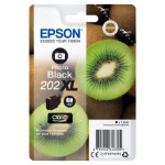 Epson C13T02H14020/202XL Ink cartridge foto black high-capacity Blister Acustic Magnetic, 800 pages 7,9ml for Epson XP 6000