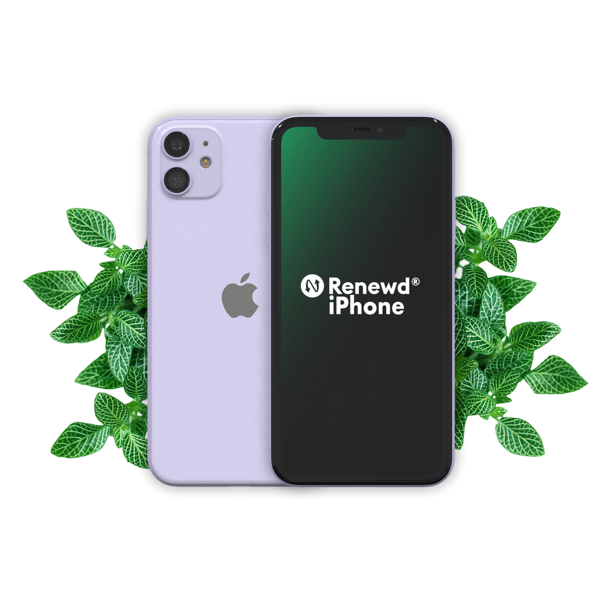 Renewd iPhone 11 Purple 128GB