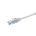 Belden C601109025 networking cable White 299.2" (7.6 m) Cat6+ U/UTP (UTP)