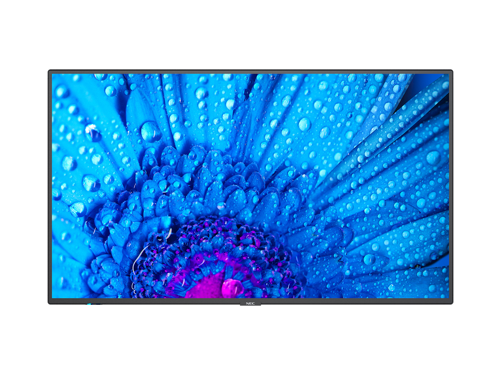 Image of NEC MultiSync M551 Digital signage flat panel 139.7 cm (55") IPS...