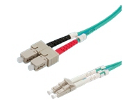 ROLINE LWL Cable 50/125µm OM3 SC/LC 1m InfiniBand/fibre optic cable Gr