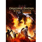 Capcom Dragon's Dogma: Dark Arisen, PC Standard English