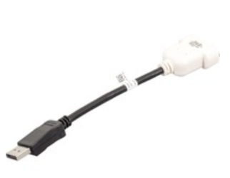 Image of DELL DisplayPort/DVI-D Black, White