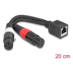 DeLOCK 88178 audio kabel 0,2 m RJ-45 2 x XLR (3-pin) Zwart