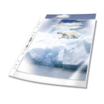 Durable 268219 sheet protector 50 pc(s)