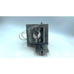 Diamond Lamps Lamp for OPTOMA H117ST:S381:W381:X381:X309ST:S326:DS319:DX322:DS320:X371:H185x:W309ST:DW322:DS322e:X400LVe:S371:S400LVe:W371:W400LVe:H190X:W319ST Projector