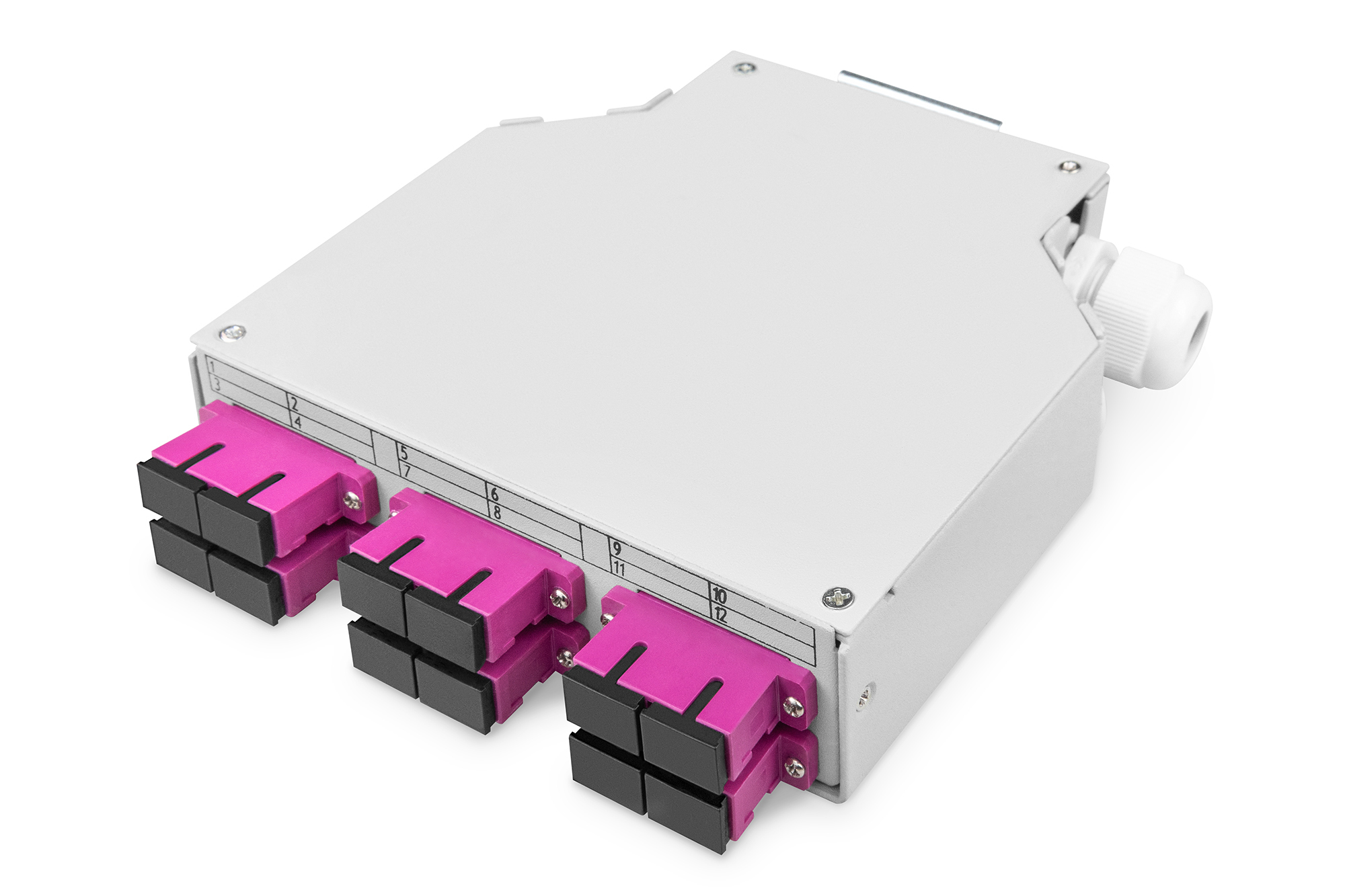 Digitus Fiber optic DIN rail box, MM-OM4, assembled, with SC adapter and pigtail