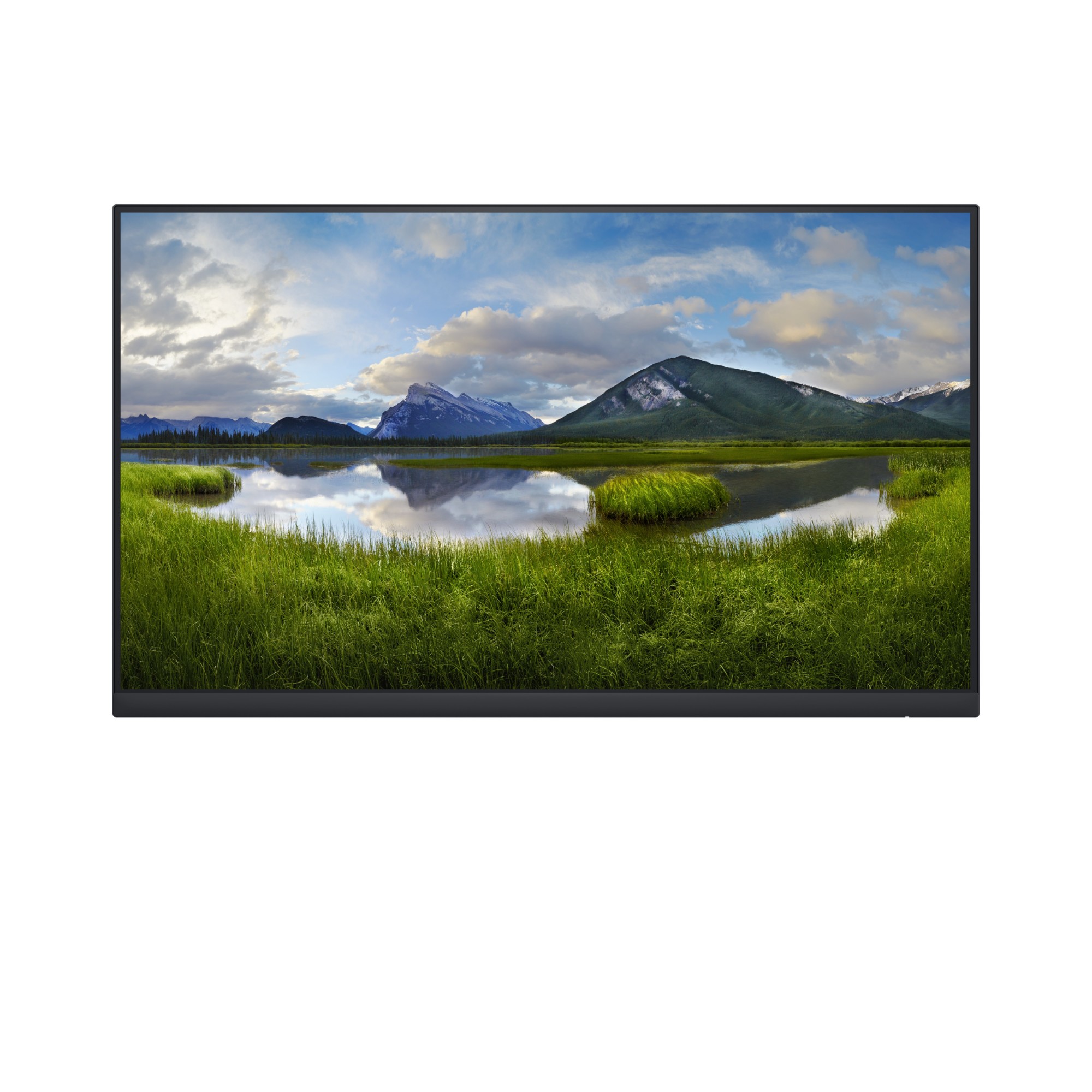 DELL P Series P2422H_WOST LED display 60.5 cm (23.8