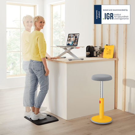 Leitz 65320085 standing desk Grey