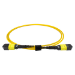 Cablenet 3m OS2 MPO (F) to MPO (F) Female 12F Yellow Trunk Cable Method B