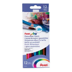 Pentel Arts Watercolour Pencil Set with Anti roll Barrel Assorted Colours (Pack 12) - CB9-12U