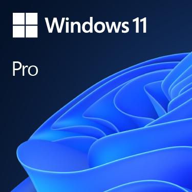 Microsoft Windows 11 Pro - DVD
