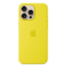 Apple iPhone 16 Pro Max Silicone Case with MagSafe - Star Fruit