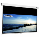 Celexon 	- Professional - 214cm x 120cm - 4:3 - Manual Projector Screen