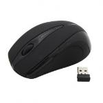 ESP eranza EM101K mouse Ambidextrous RF Wireless Optical 1000 DPI