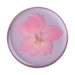 PopSockets 801238 holder Mobile phone/Smartphone Pink