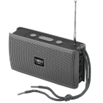 SONICGEAR SONICGO! RDO30-X Portable BT/FM/USB Speaker Gray