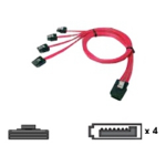 Chenbro SAS - Serial ATA SATA-kabel 0,6 m Rood