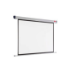 1902393W - Projection Screens -
