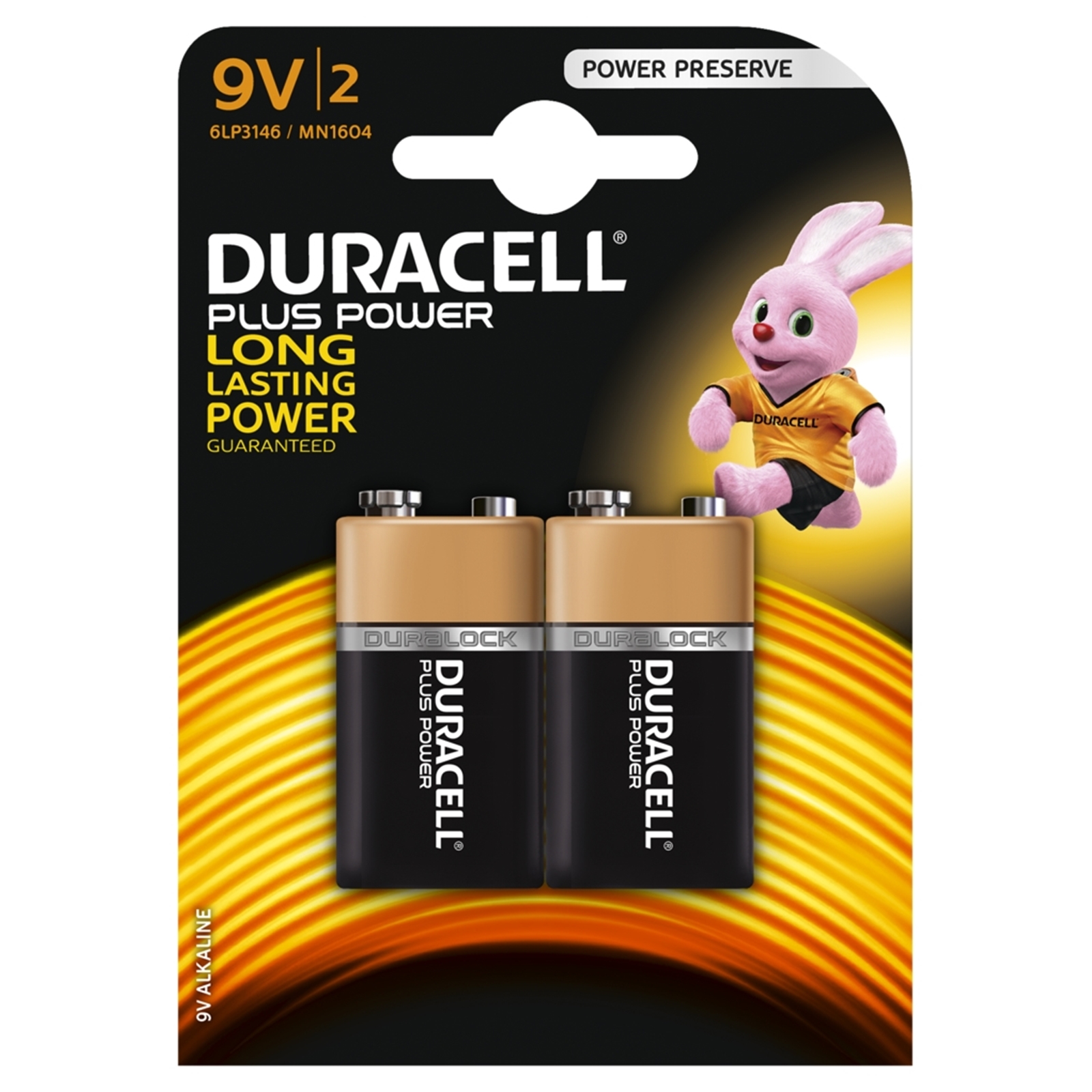 Image of Duracell Plus Power Alkaline Pack of 2 9V Battery