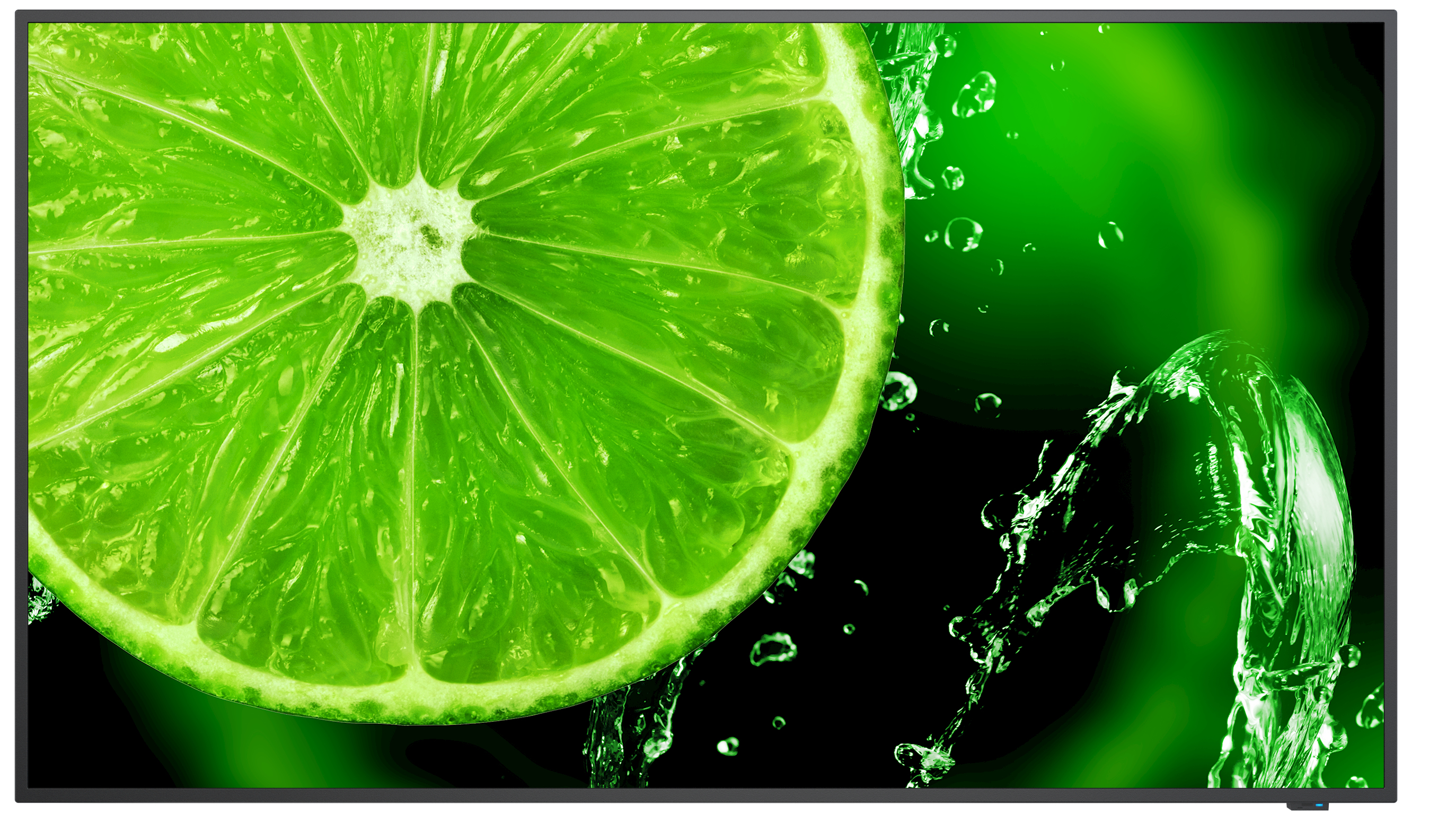Image of NEC MultiSync E498 124.5 cm (49") IPS 350 cd/m² 4K Ultra HD Black...
